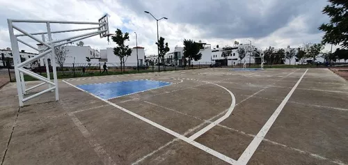 Basquetbol / Basketball